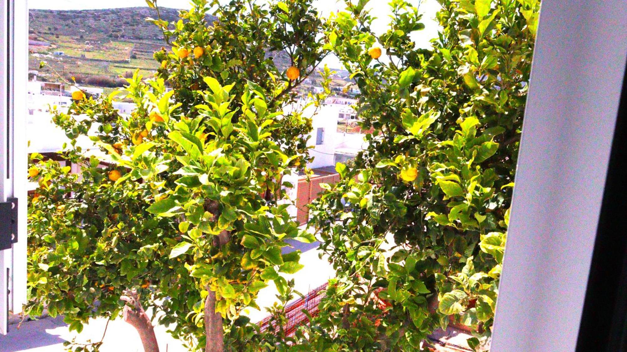 Lemon Tree Maisonette - Naoussa Paros Exterior photo