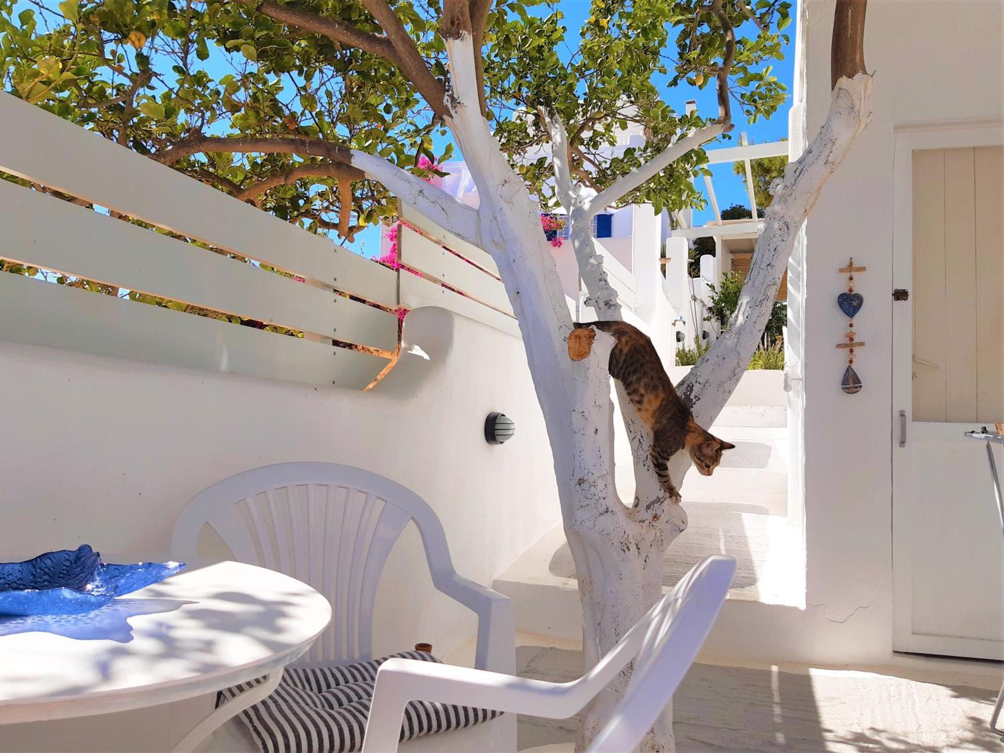 Lemon Tree Maisonette - Naoussa Paros Exterior photo